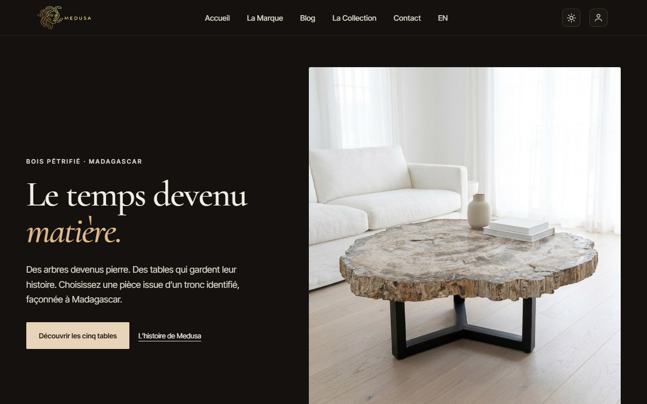 Page d'accueil du site Medusa — bois fossilisé